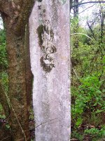 Mile Marker 27, Vester Cole Street 